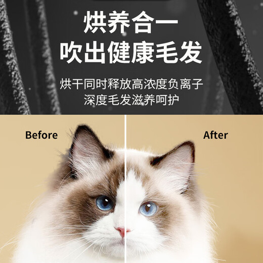 Chongzhidi smart constant temperature pet drying box cat and dog bathing dryer pet hair blowing and drying artifact home 45L upgrade 1200w bottom air outlet