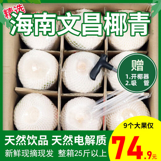 Xianyouji Hainan Wenchang Coconut Green Large Fruit Fresh Coconut Pregnant Women Coconut Picked Now Delivery Coconut Opener and Straw 6 pieces with coconut opener and straw (single fruit 900g+