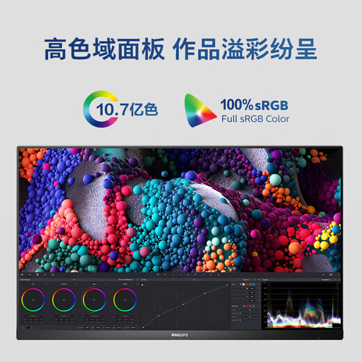 飞利浦（PHILIPS）27英寸4K IPS 10bit HDR400 TypeC65w 100%sRGB PIP/PBP智能分屏 升降旋转 专业设计屏 办公显示器 27E1N5900R