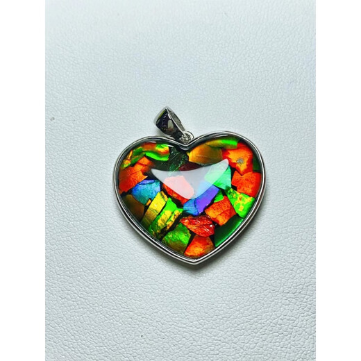 Bixiu Tang Canadian Ammonite Pendant