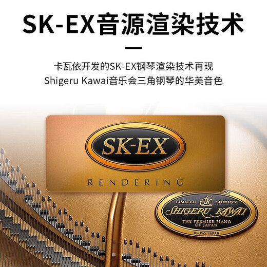 卡瓦依（KAWAI）电钢琴木质键盘重锤88键CA901立式高端专业考级演奏成人家用钢琴 立式免安装印尼进口CA901旗舰款