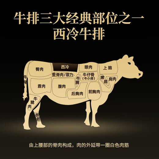 Pizza Hut Premium 45 % salzreduziertes, ganz geschnittenes und konditioniertes Kindersteak 130 g*3 Scheiben Kinderfrühstück, Studentengeschenke