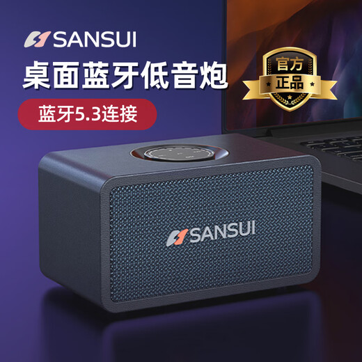 SANSUI Wireless Bluetooth Speaker Subwoofer Ambience Light High Quality Home Stereo Surround Outdoor Portable Desktop Mini Audio Card Small Steel Cannon Music Player T23 Black Bluetooth 5.3 + Subwoofer + Touch Screen Key