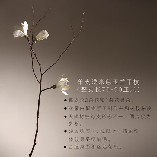 Aesthetic Hacker Handmade Birch Trunks Mountain Twisted Magnolia Branches Bouquet Living Room Decoration Dried Flowers Real Flowers Flower Arrangement Home Indoor Three Magnolia Off-White More Affordable