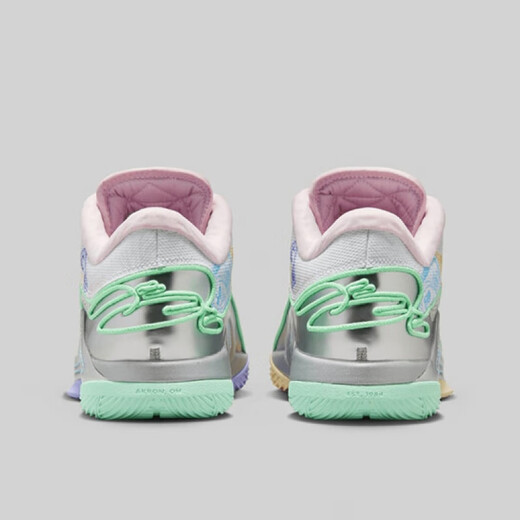 耐克（NIKE）男鞋 LEBRON 22时尚百搭舒适缓震运动休闲篮球鞋FZ1098-100 FZ1098-100 42