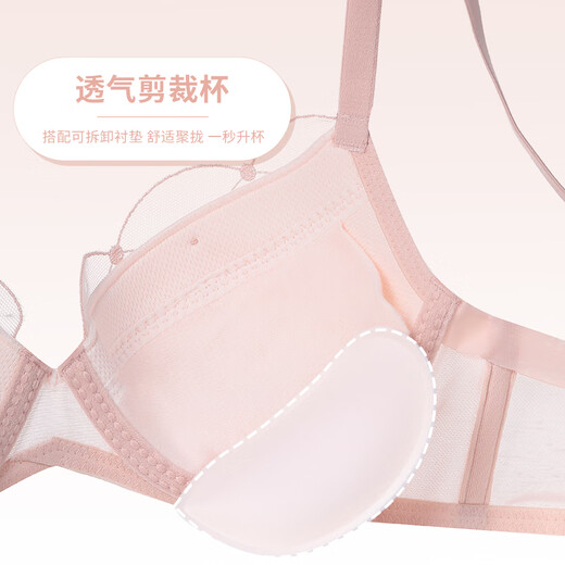 黛安芬 TRIUMPH【新品】风格魅力内衣女小胸聚拢薄款蕾丝舒适文胸双十二618 黑加仑紫-FH 75B