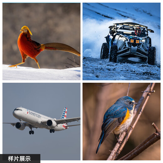 SIGMA 500mm F5.6 DG DN OS Sports full-frame super telephoto fixed focus lens for bird shooting and lotus shooting (Sony mount)