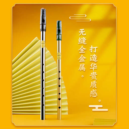 杉贝英国Feadog飞叨爱尔兰哨笛锡笛C调D调初学生哨笛我心永恒笛子乐器 彩色烤漆D调(绿色)+使用教材+电