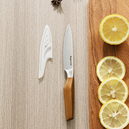 BAYCO antique bronze stainless steel tool fruit knife, paring knife, watermelon knife, baby food knife, BD3409