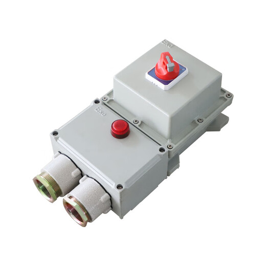 Suitable for explosion-proof circuit breaker 10A16A20A32a40A63A100A explosion-proof distribution box 380V2p3P4P leakage 100A/380V/4P (with leakage)