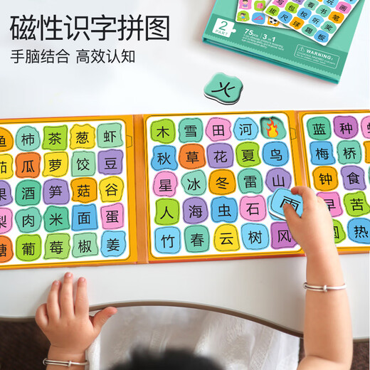 Miaowa Children's Magnetic Literacy Puzzle Enfil's Early Education Magnetic Baby's Picture Lire et reconnaître les livres magnétiques Toys pour une reconnaissance magnétique de 3 à 6 ans [Noms Niveau 1] Un total de 50 images