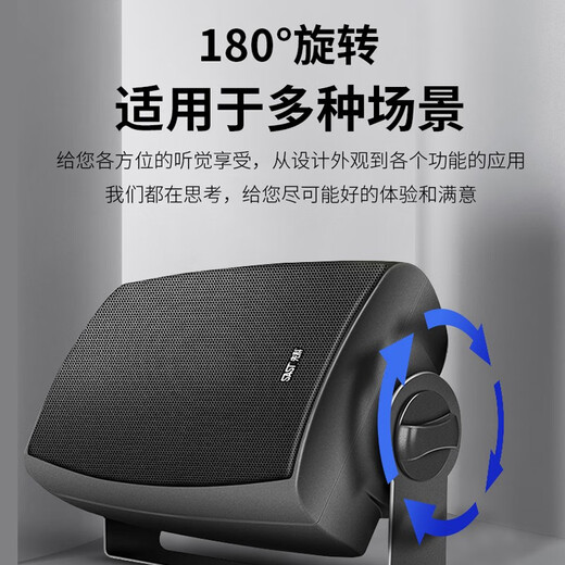 先科（SAST）DW40壁挂式音响音箱喇叭 40W无源需连功放机店铺商用工程会议室家用餐厅公共广播背景音乐 4英寸	