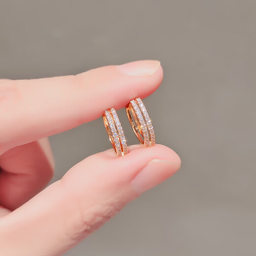 DL 1998 Rose Gold Earrings Temperament Earrings 2024 New Micro-Inlaid Fashionable Versatile Earrings Double Layer Round TS-220121