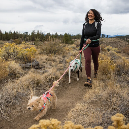 Ruff Wilvergland dog leash large dog ruffwear golden retriever Shiba Inu Teddy pet dog leash dog chain p chain sage green/fog forest green