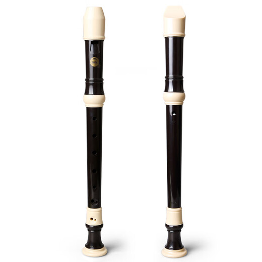 Shanbei Recorder Treble British B EXTRIMANCES A RADIGNAGE C ADTENTION BAROQUE 8-HOLE A ADRIGATING RESTROCREUR ÉCHECLE ADMILAIRE ÉCHECLE PRIMATIQUE FLUTE ALLEMANG G [Envoyer 7 échantillons Set complet]