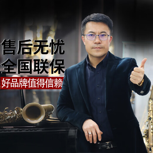 ROLLINS罗林斯萨克斯9902降b调直管高音萨克斯管乐器演奏款初学入门通用 9902高音-金色