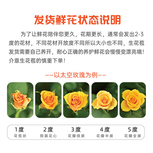 Jingdong flowers rose Aisha 10 stems soilless cultivation branch length 50-55cm gift flower Shandong base source straight