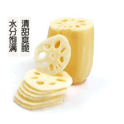 GAP certified seasonal fresh crispy lotus root 500g