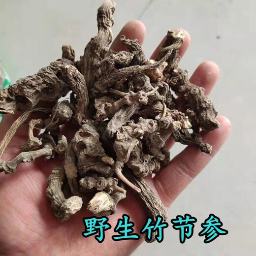 Beijing Tongrentang Bambú salvaje Ginseng Bambú Pintura de montaña Bambú Siete Bambú Panax Notoginseng Arhat Panax Notoginseng Medicina de hierbas chinas Bai San Wild Bamboo Ginseng 50G