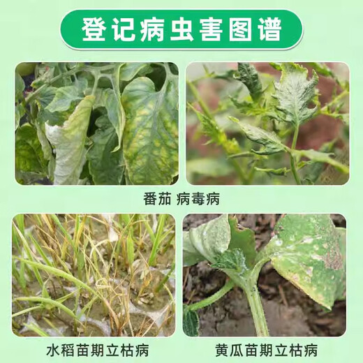 Hulianrui Kangshangmiaoqing 30% Amino Oligosaccharide Metalaxymexyl Cucumber Rice Blight Fungicide 200g (20g*10 bags)
