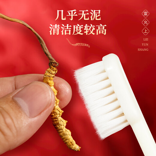 雷允上【官方】冬虫夏草 高端礼盒高档补品送人长辈父母礼盒 【虫草呈领，敬重恩酬】4根/g10g约40根