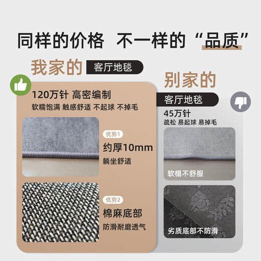 客厅地毯轻奢高级感免洗黑沙发搭配地毯客厅2024新款轻奢高级感房 15839 140*200cm[无甲醛无异味]