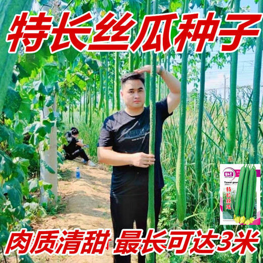 Long luffa seeds are planted in all seasons, early maturing snake-shaped luffa garden pots contain luffa, meat and vegetable seeds. The flesh is sweet. Long luffa seeds are planted all year round. Original 75 capsules. 88% people choose it.