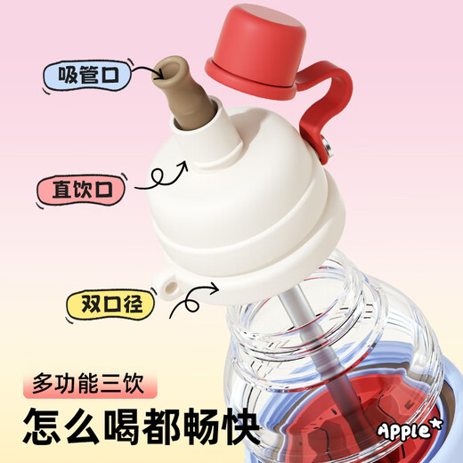 
BABLOV flower patenson stainless steel straw insulation cup high-looking girl cute birthday fruit tea cup transparent teahouse portable cup tangerine sparkling water 690ml