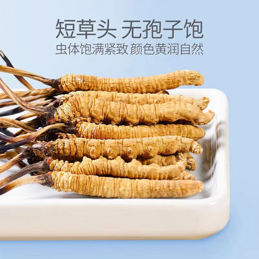 Wazang authentique Cordyceps Cordyceps Boîte-cadeau avec Futures de tête cordyceps secs cordyceps cordyceps haute altitude 5-6 racines / g 1 racine