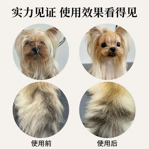 Xuanniao pet needle comb to remove floating hair and open knots, cat comb and dog comb, size M, comb surface 8.5cmX4.4cm