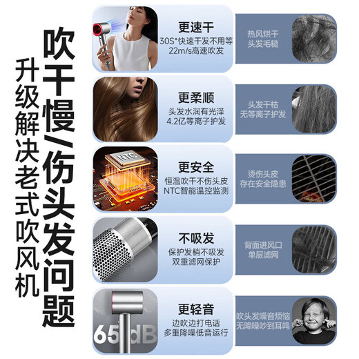 RASW German hair dryer household quiet and gentle negative ion high power does not hurt hair high-speed drying leafless hair dryer hair care dormitory baby pet ladies special portable business trip sunset rose single air nozzle intelligent temperature control new upgrade Chinese Valentine's Day gift for girlfriend and wife