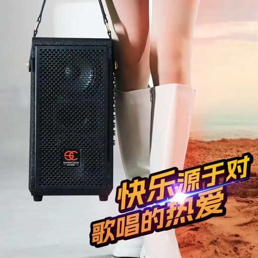 Songchuan International SC2-205 professional high-power performance karaoke audio sound card live karaoke outdoor trolley Bluetooth large speaker SC1-26 dual 6.5-inch live broadcast high-power speakers