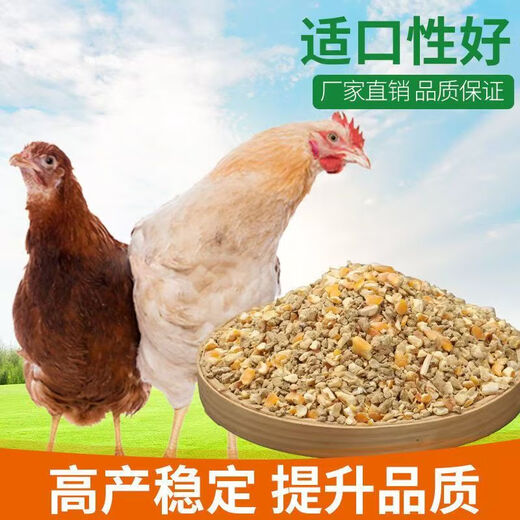 Yinghuan layer chicken feed for hens, egg-laying broiler chicken fattening particles, full price special wholesale for nesting and breeding, 5 Jin Jin is equal to 0.5 kg, layer chicken feed