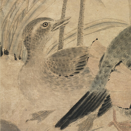 
The picture of the old lotus and mandarin ducks in Zhangzhong, the Yuan Dynasty. The scroll of ancient flowers and birds. The picture of the literati's replica of the ancient paintings and hanging paintings. The picture of the autumn tree and junyan stone of the Yuan Dynasty. 12602. 50X105 cm (spraying painting heart size)