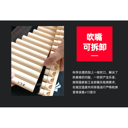 风律 16管18管学生教学专用排箫初学者儿童入门C调 18管排笛(超多)+初学吹管