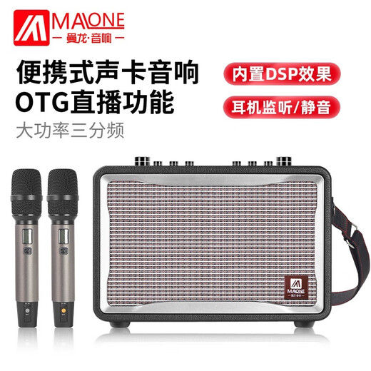 MALONE portable Bluetooth karaoke audio outdoor square dance live broadcast with sound card microphone guitar playing and singing performance speaker amplifier GT-001 (450W) + dual microphone + gift flagship version