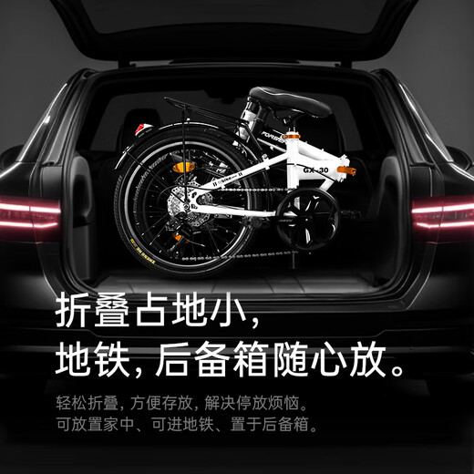 FOREVER Folding Bikes for Children and Children, Mountain Bike Portable Shimano Speed ​​Bike Silver Gray 20 Inch Single Speed