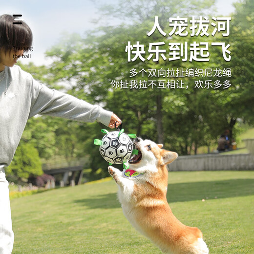 Front dog toy pet outdoor football border collie medium and large dog corgi interactive bite-resistant boredom relief training tour ball