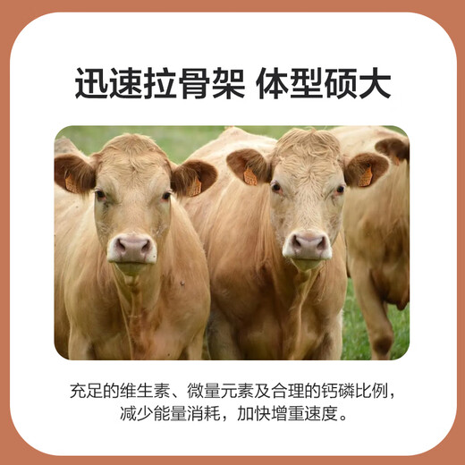 East China Zhengda 4% beef cattle and sheep premixed calf and lamb fattening cattle and sheep material to fatten and gain weight, pull the skeleton without diarrhea, 1 bag of beef cattle special material