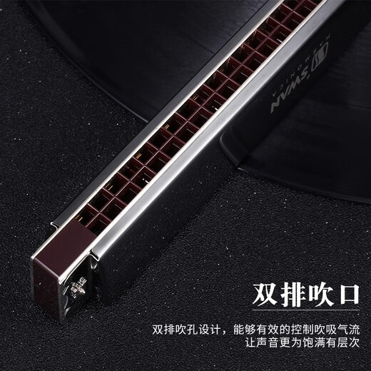 天鹅德国进口音簧天鹅28孔高端复音c调口琴 高级成人专业重音演奏级琴 28孔D调高端专业演奏复音