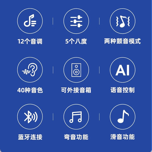 百诺华夏之韵电葫芦丝乐器国产电子吹管葫芦丝电子笛电萨初学者乐器 红木色