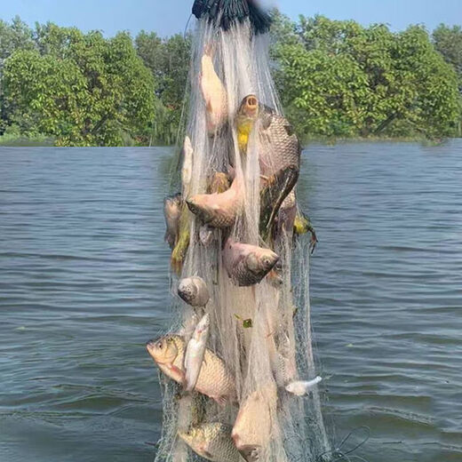 Luo Zangdou fishing net cast net hand-thrown net fishing net wire mesh three-layer sunken net single-layer floating net hanging sub-fish net fishing net white striped crucian carp three-layer 3-finger 1.2 meters high 21 meters long sunken net