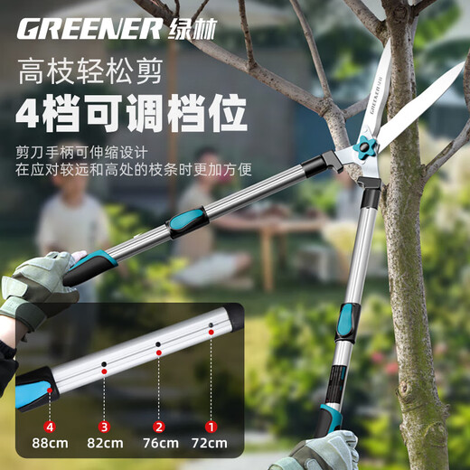 Greener (GREENER) gardening scissors, lawn hedges, landscaping shears, seedlings, high branch shears, special scissors for pruning branches, thick branches, pruning king, straight blade - garden shears