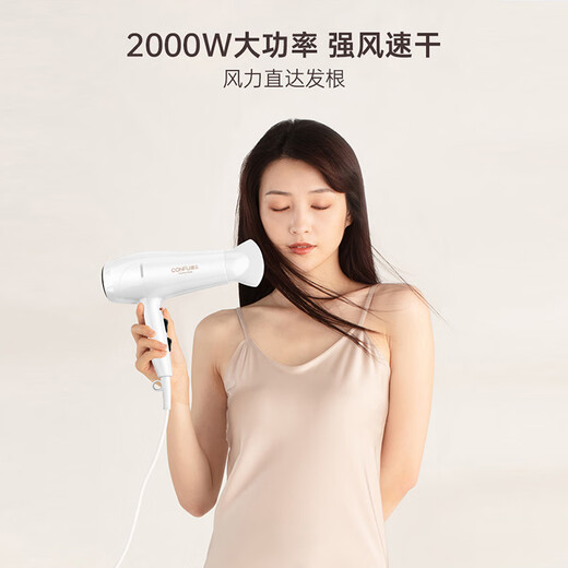 Kangfu hair dryer household high power hair dryer high wind household hair dryer barber shop electric dryer KF-3096 white