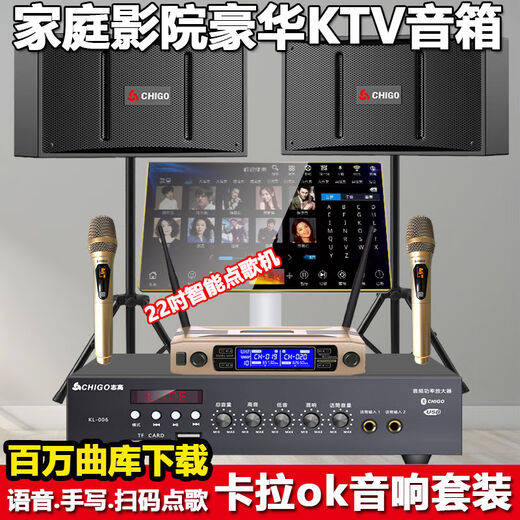 Chigo KTV-Kartenbeutel-Lautsprecherverstärker All-in-One-Heimkino Heavy Bass Smart Audio Karaoke Voller Karaoke-TV-Kartenbeutel + Verstärker + Geschenktüte