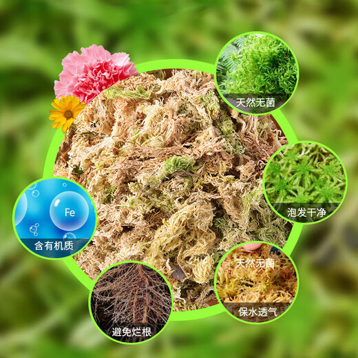 Green family sphagnum moss butterfly orchid special soil moss bodhi nutritious soil plant turtle mat material dendrobium candid planting 12L