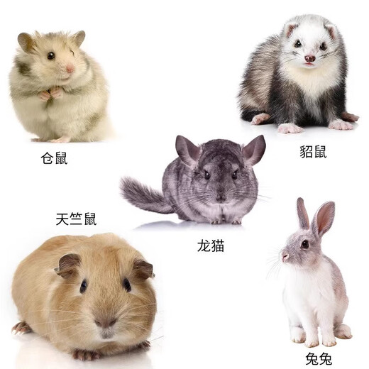 
Anshe alfalfa grass rabbit food purple flowers and hay young rabbits eat guinea pigs special rabbit food feed 9A alfalfa grass gross weight 690g 25 years first