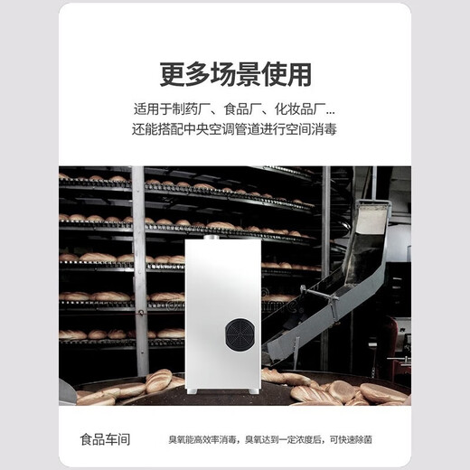 Feili duct type ozone generator central air conditioning fully automatic control ozone disinfection machine equipment food factory industrial clean workshop sterilization and deodorization 8120F 120g ozone 1200