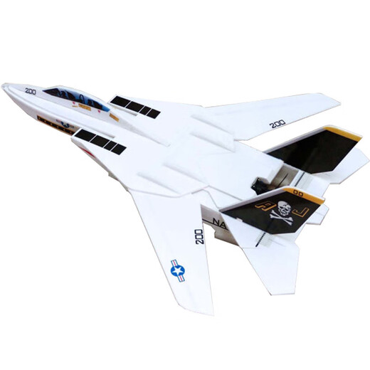 BILLY RICE modèle réduit d'avion télécommandé à monter soi-même compétition F14 modèle réduit d'avion à voilure variable chasseur résistant aux K électrique autonomie de la batterie de 15 minutes blanc nouveau matériau panneau kt avion vide + fil d'acier + pieds de gouvernail + tige de carbone, feuille de carbone