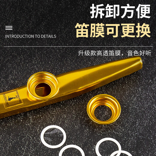 Shanbekazudi Kazoo Metal Guitar Ukulele Accompaniment Unpopular Small Musical Instruments Simple Teeth Protective Glacier Silver (Give a gift with lanyard)